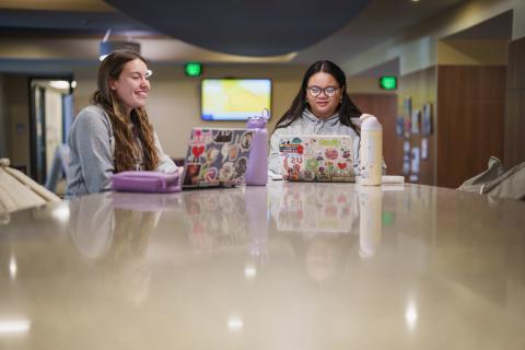 UNH students studying on laptops